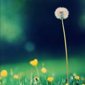 Meet your Posher, Claire